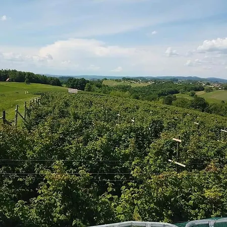 Vikendica Za Odmor I Dusu Holiday home Velika Kladusa