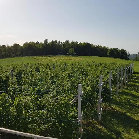Vikendica Za Odmor I Dusu Holiday home
